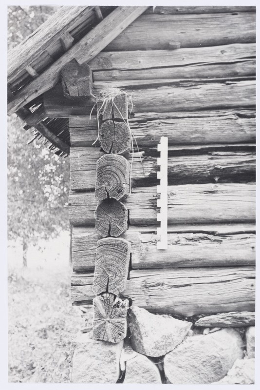 Rusi talu laut-küün, lauda otsasein tagakülje ristnurgaga.