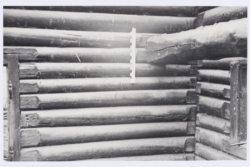 Rusi rehemaja lahtivõtmine, rehetoa sein