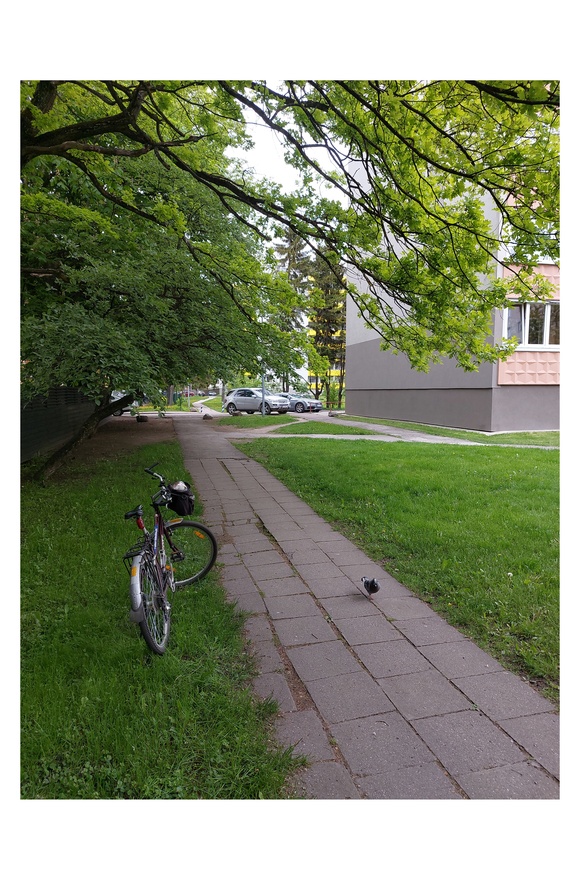 Lilleküla street scene rephoto