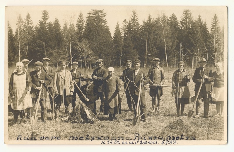 Metsahooldustööd Adavere metskonna Priksu metsas.