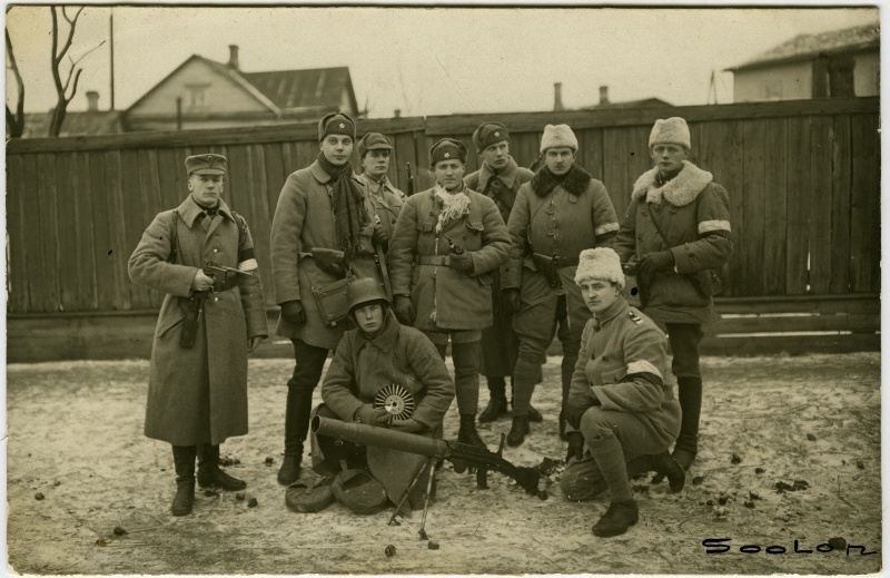 Rootsi vabatahtlikud Narvas