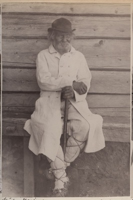 Küla karjane Suigus, Pärnumaal.  duplicate photo