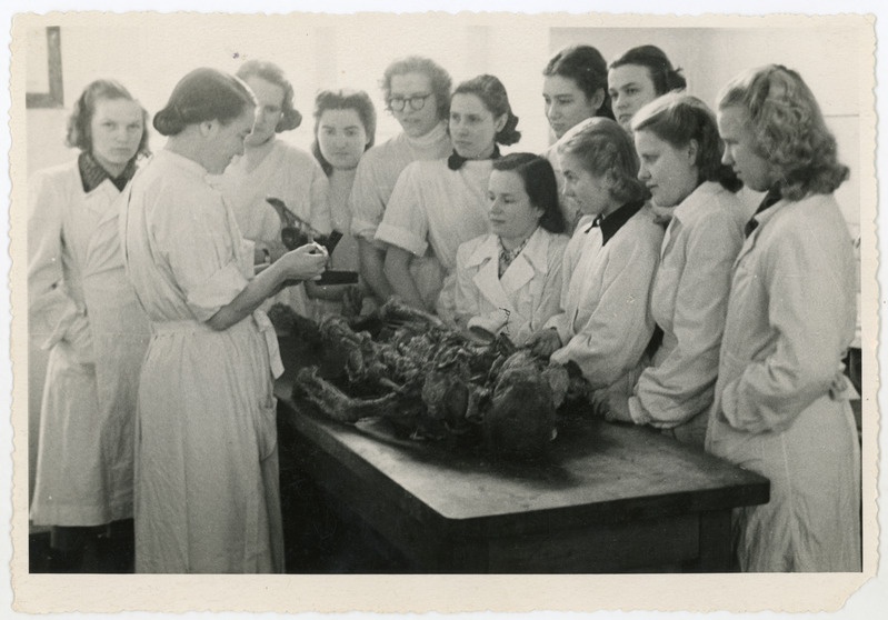 Üliõpilased anatoomia praktikumis