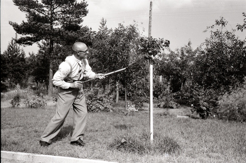 Mees puid pritsimas (Jakobson)