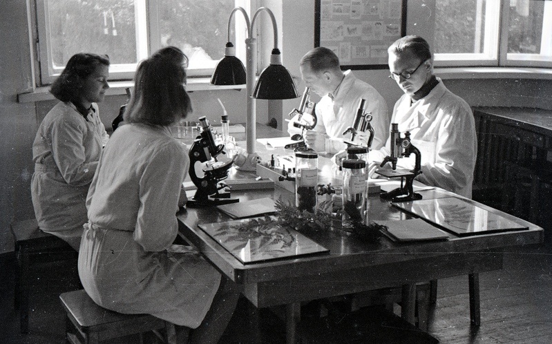 Kaks naist ja kaks meest mikroskoopidega laua taga istumas (TRÜ farmaatsiakateeder koos Moskva filmimeestega)