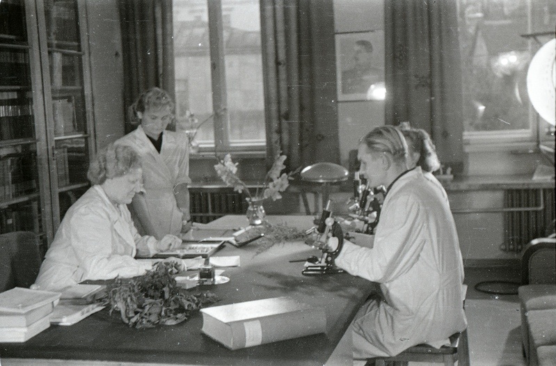 TRÜ farmakognoosiakateedri juhataja (1940-63) prof Alma Tomingas (esiplaanil vasakul) ja TRÜ farmakognoosiakateedri assistent Johannes Tammeorg (esiplaanil paremal) ja kaks naist kirjutuslaua ümber (TRÜ farmaatsiakateeder koos Moskva filmimeestega)