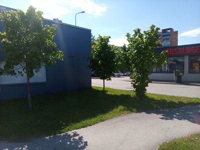 Tartu Annelinn: putka / kiosk / bussiootepaviljon, taamal 5-korruseline elamu rephoto