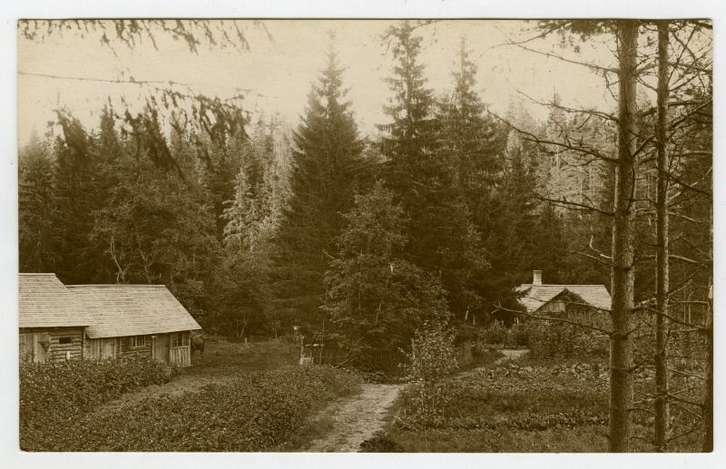 Metsniku maja Vääna-Jõesuus.