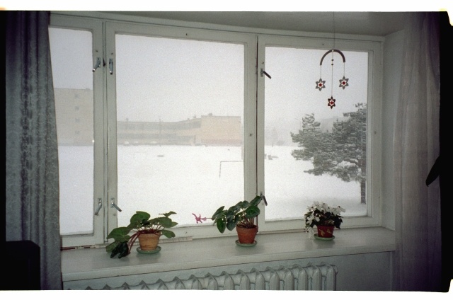Jõulukaunistus ja lilled Teetlauside Tallinna korteri aknal