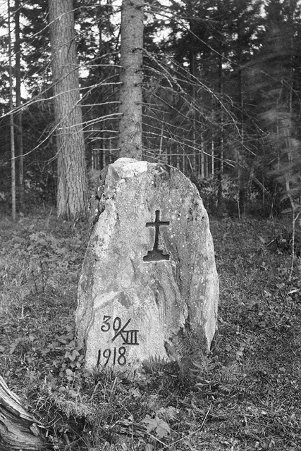 Hauakivi Sõrve Pallo metsas. Kaunispe mõisa metsas?