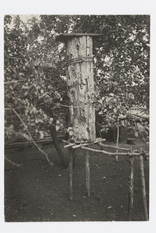 Puupakust tehtud mesitaru, 1912. a.