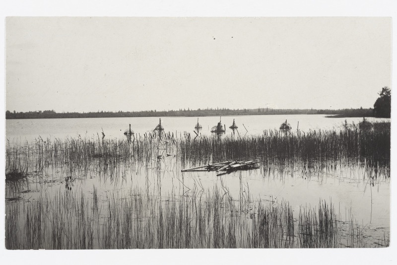 Vaade järvele, kus on vepslaste kalavõrgud ja mõrrad 1926. a.