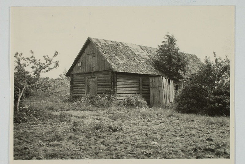 Ait (vanus ligi 50 a). Aasamäe t, Oriküla, Vändra khk