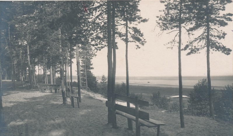 Võsu rand