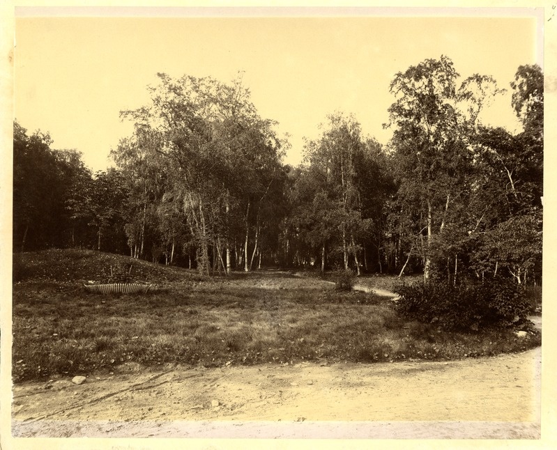 Kunda park