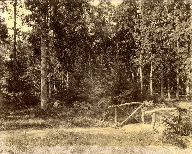 Kunda park