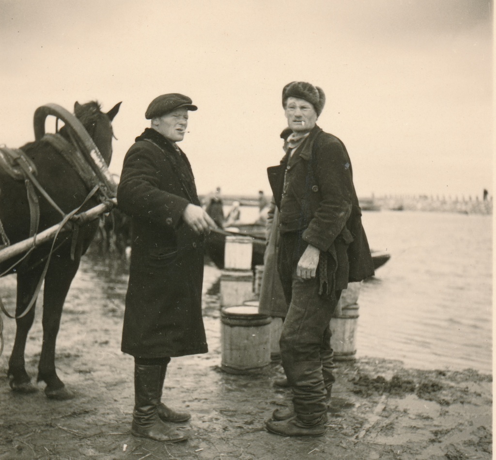 Silgulaat Kaupsaare sadamas Mahu rannas