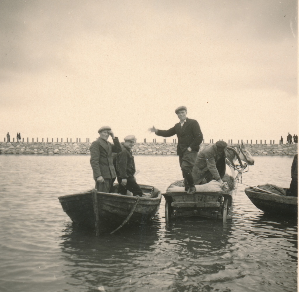 Silgulaat Kaupsaare sadamas Mahu rannas