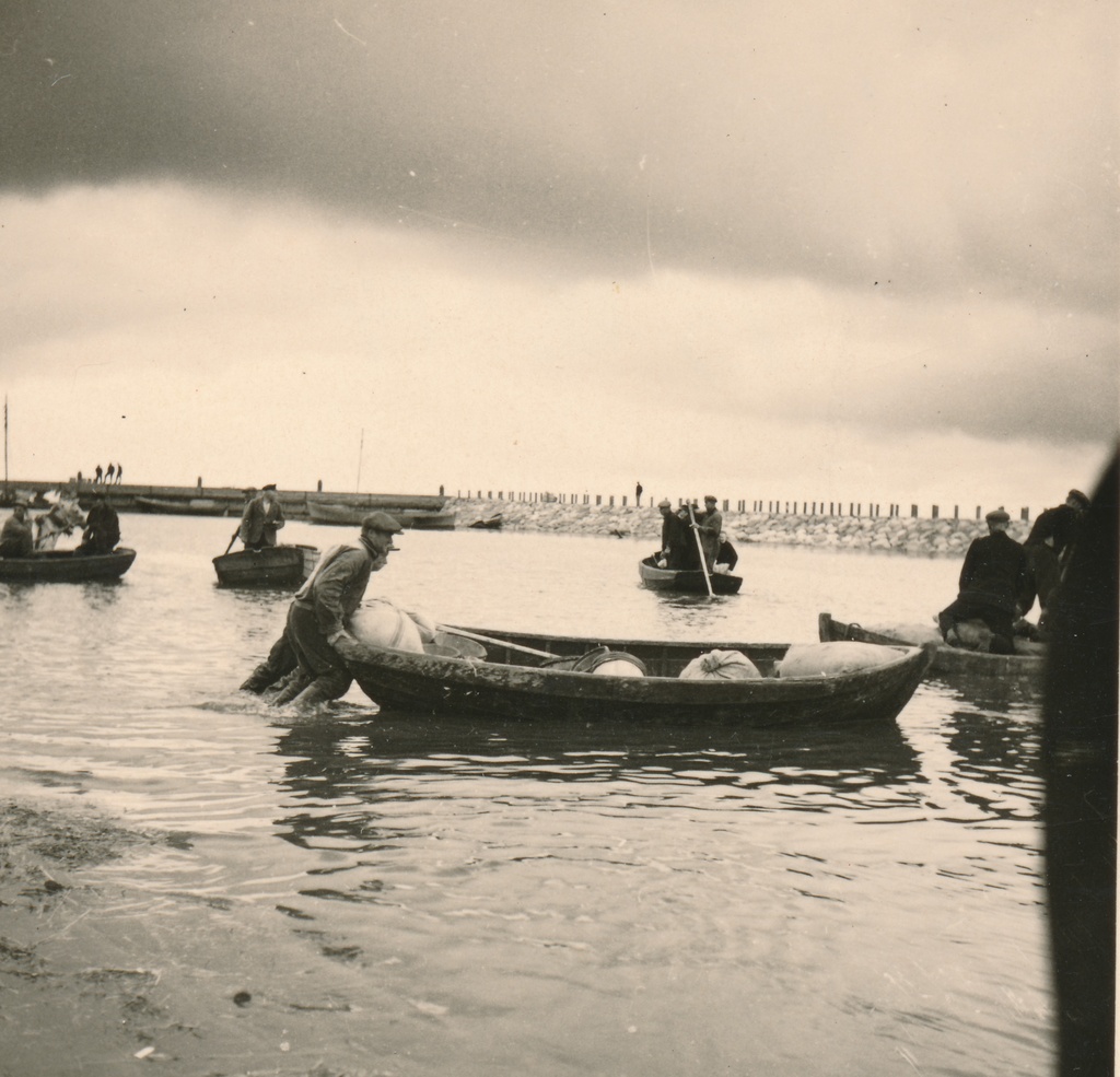 Silgulaat Kaupsaare sadamas Mahu rannas