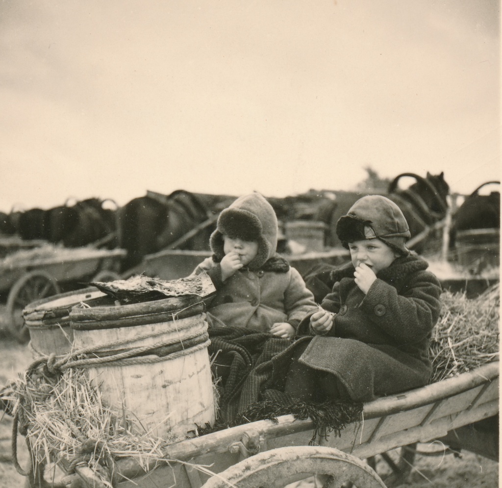 Silgulaat Kaupsaare sadamas Mahu rannas