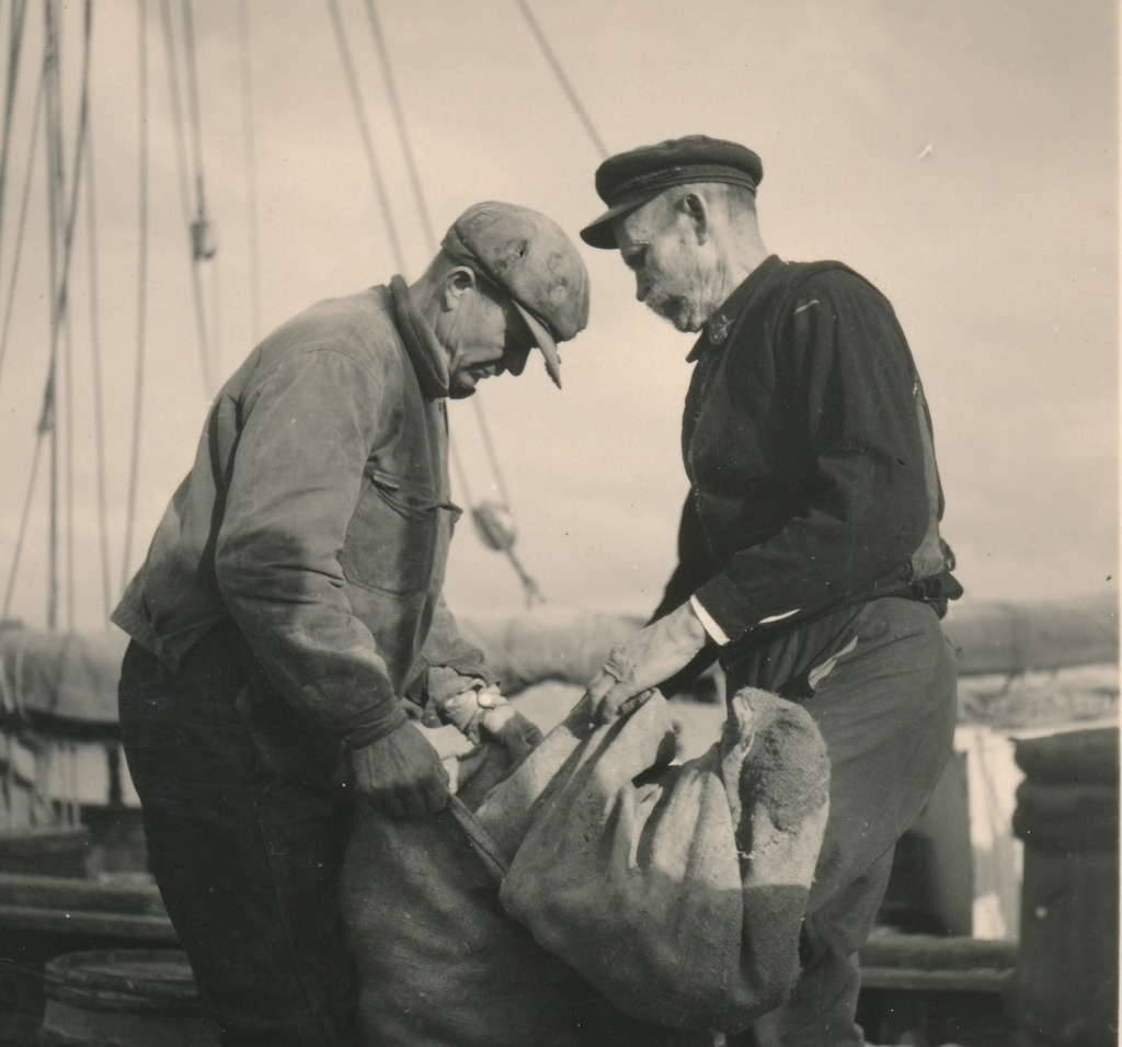 Silgulaat Kaupsaare sadamas Mahu rannas