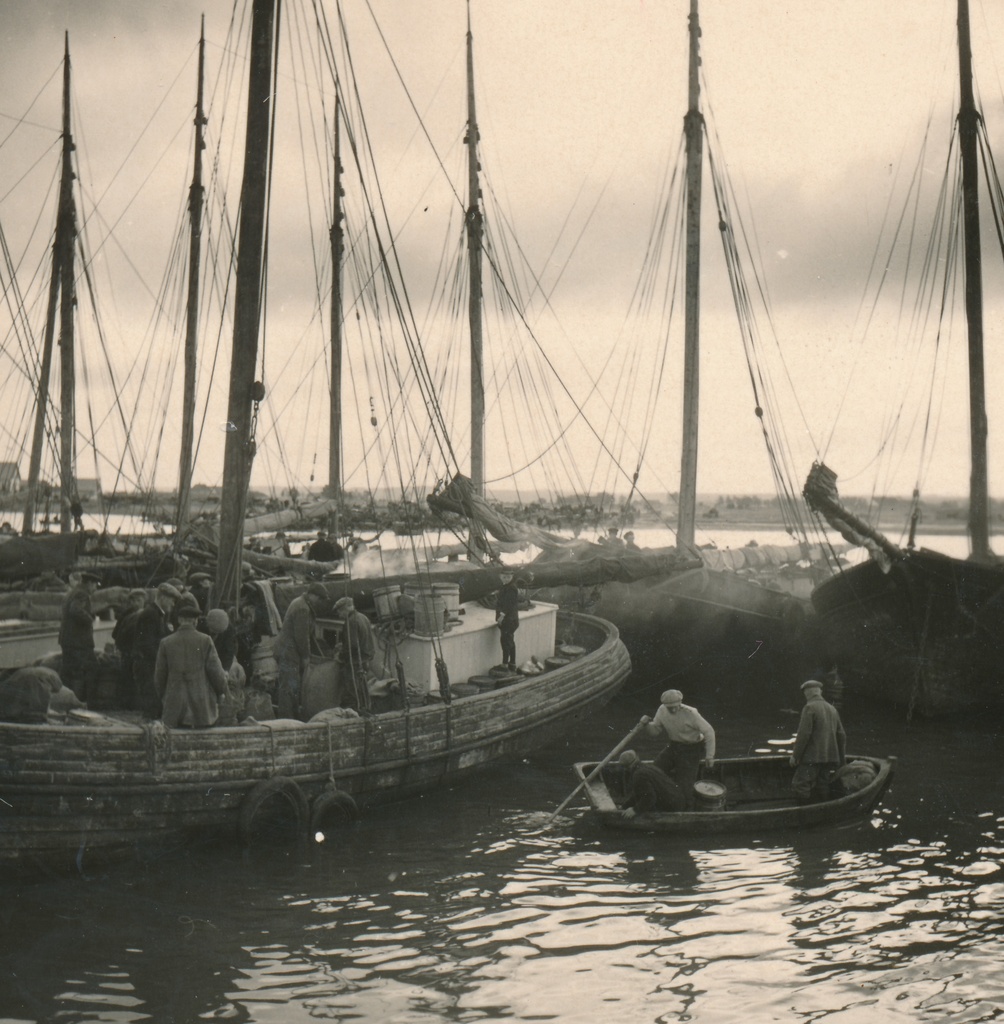 Silgulaat Kaupsaare sadamas Mahu rannas