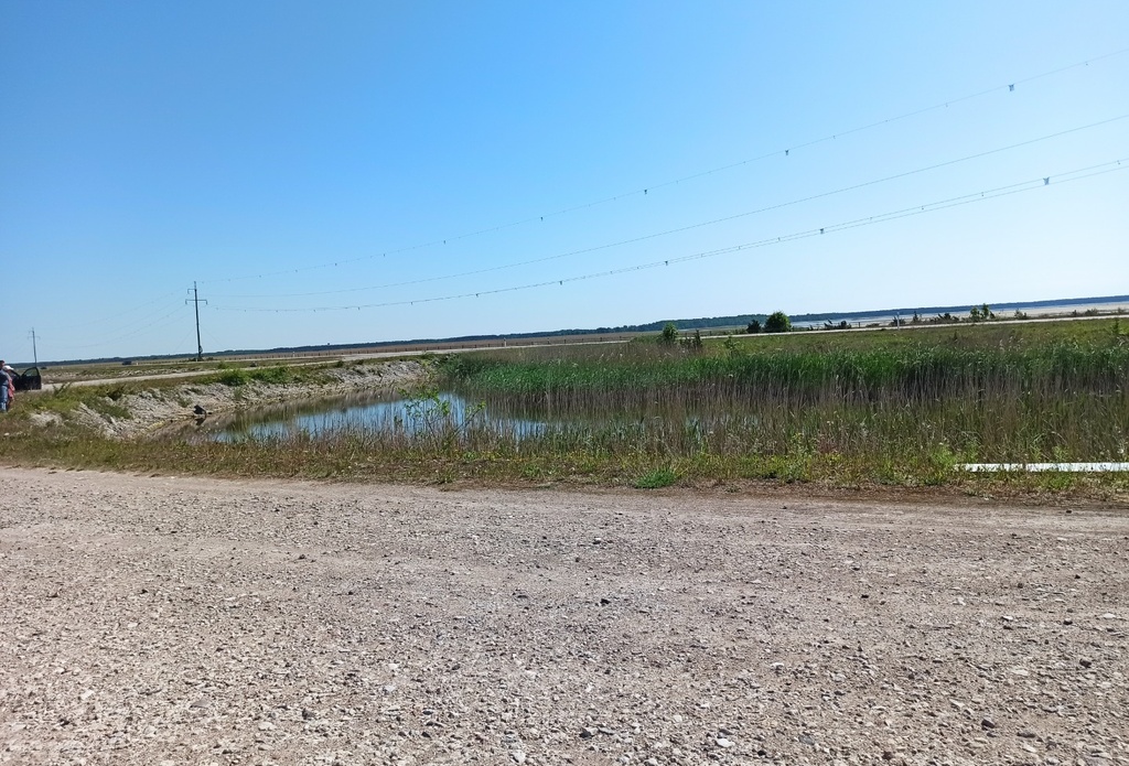 Photossmallveningammmm rephoto