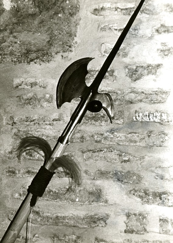 Rakvere linnus
