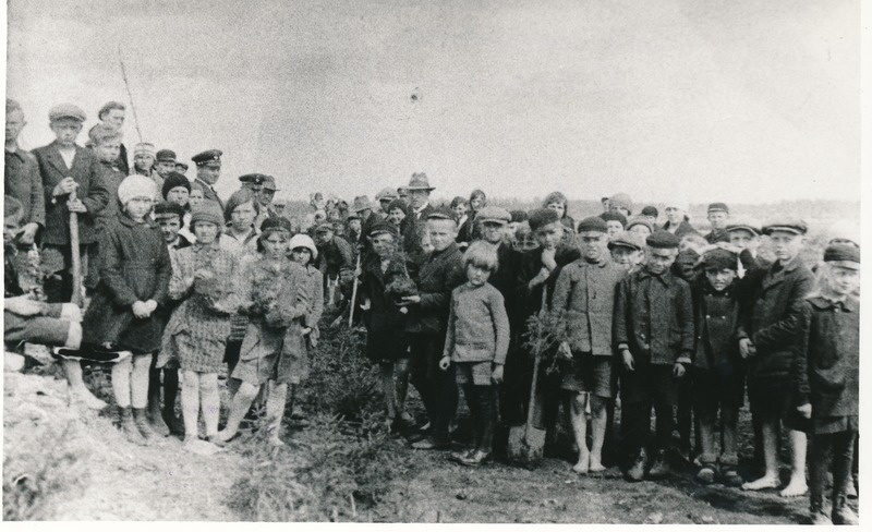 Vihula algkooli juurde puude istutamine