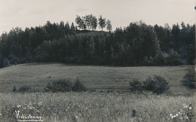 Hobustemägi  duplicate photo