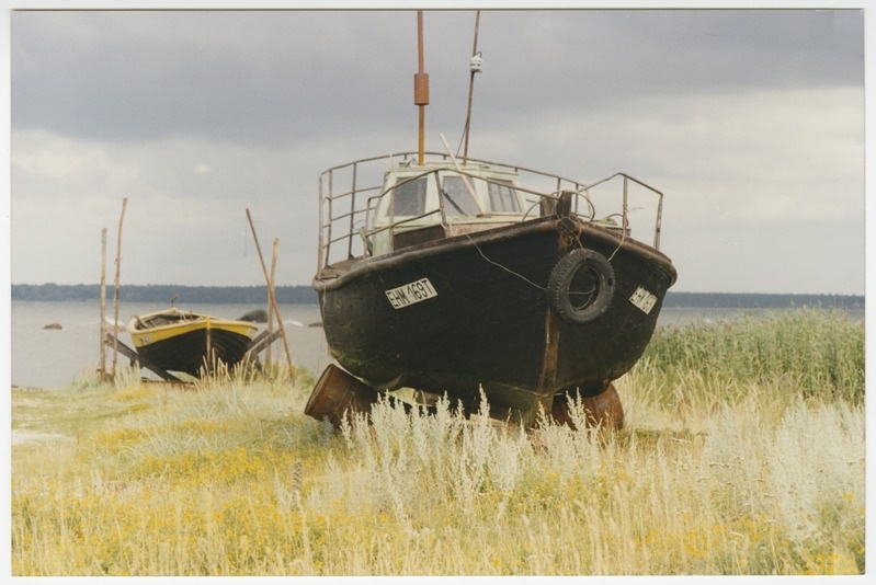Kalapaadid