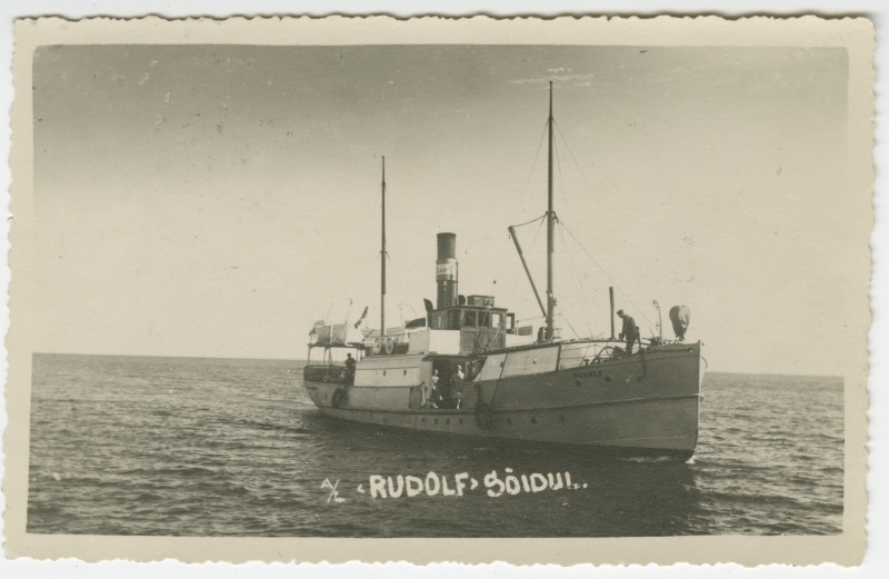 Reisiaurik "Rudolf" merel