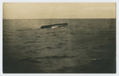 Kummuli süst (?) rannikumerel  duplicate photo