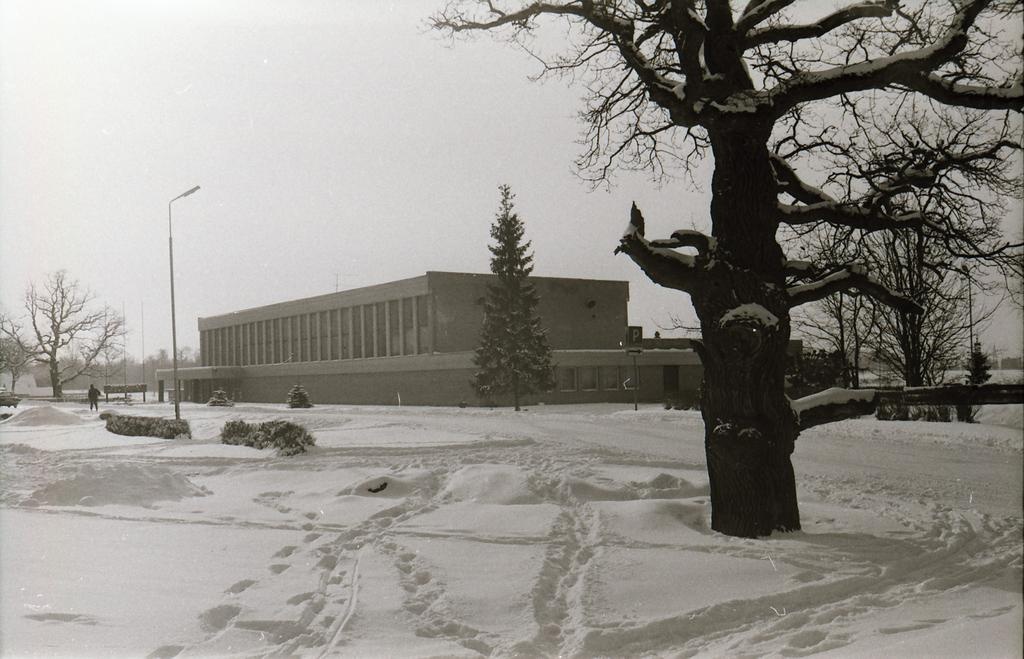 Vinni Sports Building