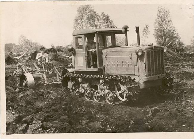 Land Repairs in Vinni Gender