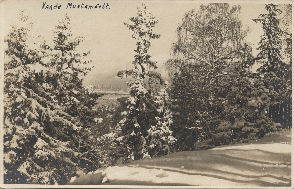 View from Mustamäe
