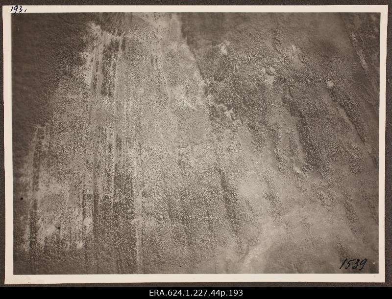 View from air to landscape; photo 1. Number of photo positives in the air force auction