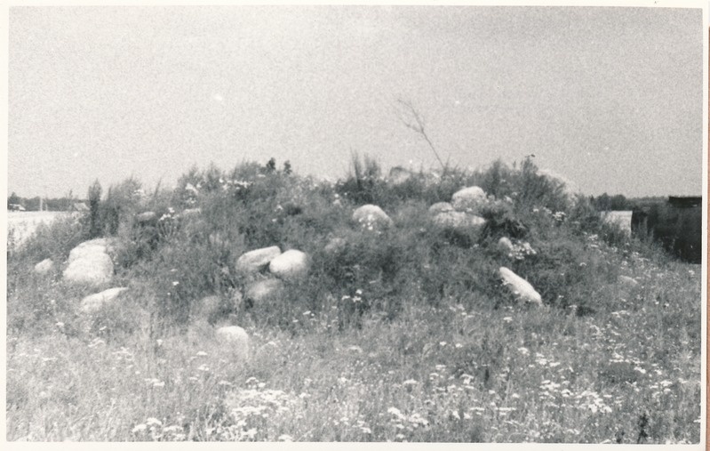 Laanemõisa kivikalme