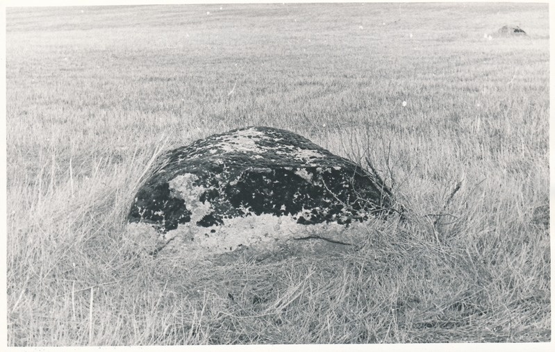 Kultusekivi Varangul