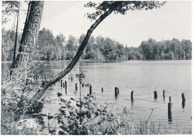 Käsmu järv  duplicate photo