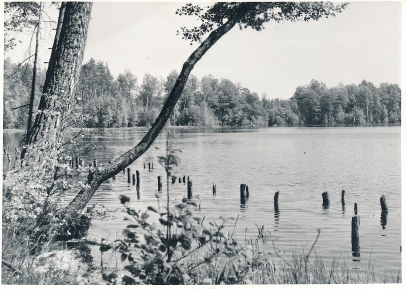 Käsmu järv