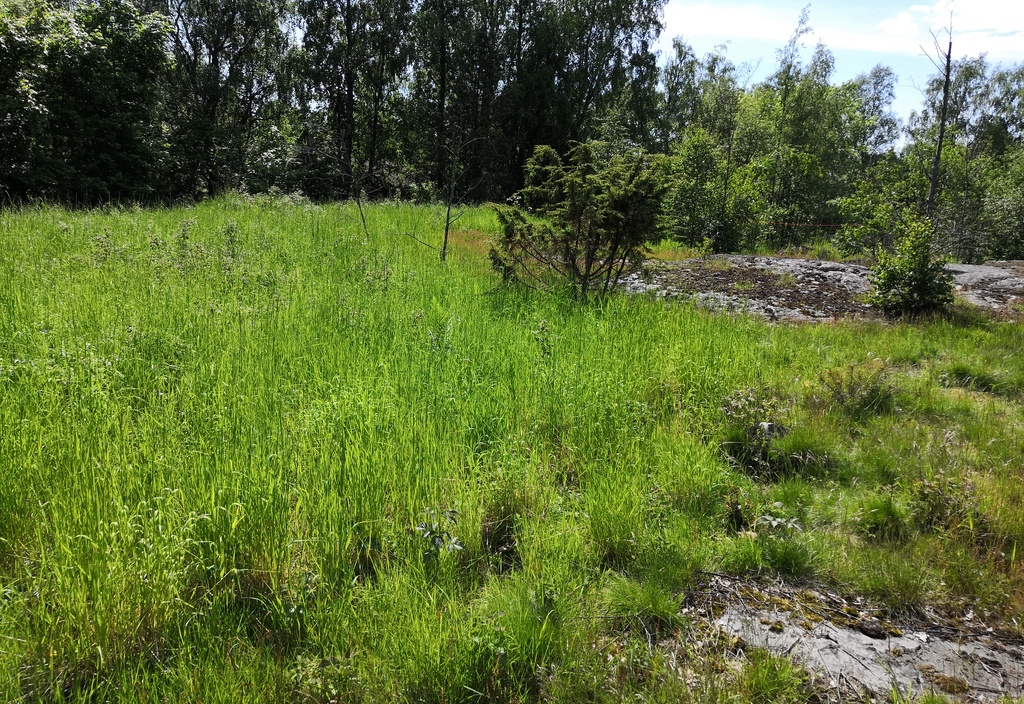 Vallisaaren kansakoulu. rephoto