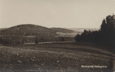 Otepää landscape  duplicate photo