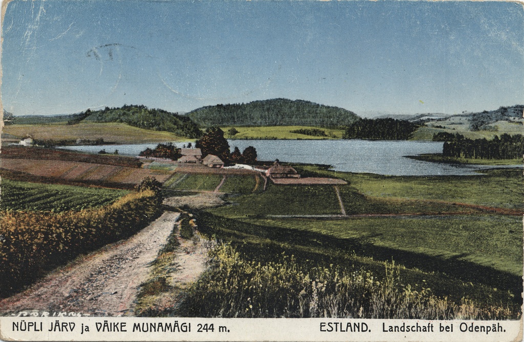 Lake Nüpli and Väike Munamägi 244 m : Estonia : Landschaft bei Odenpäh