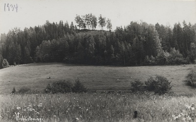 Hobustemägi  duplicate photo