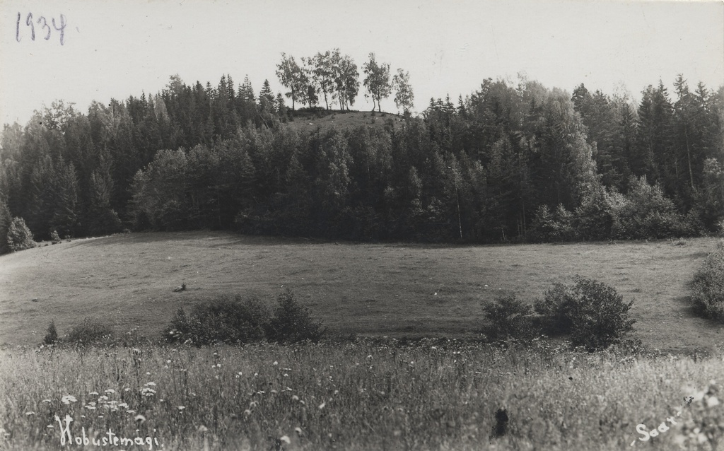 Hobustemägi