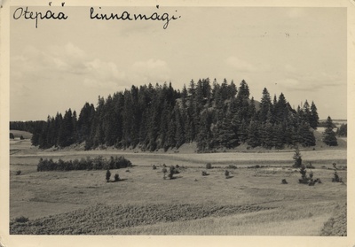 Otepää Linnamägi  duplicate photo