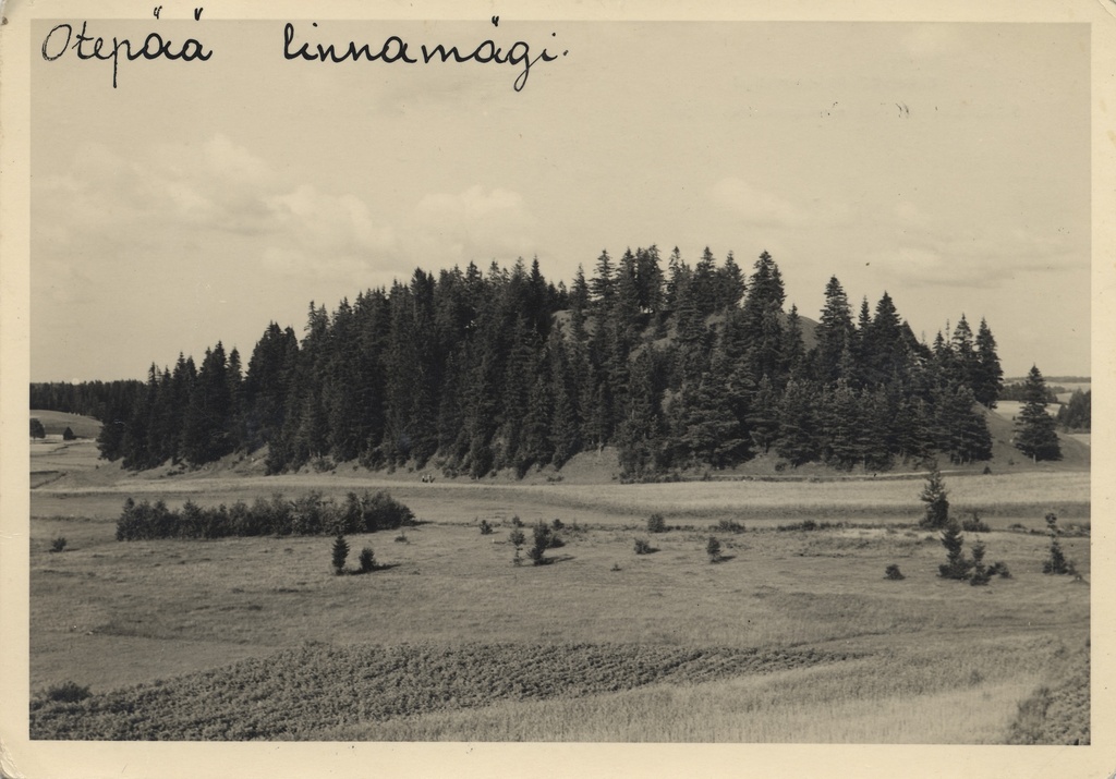 Otepää Linnamägi