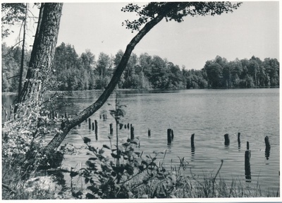 Käsmu järv  duplicate photo