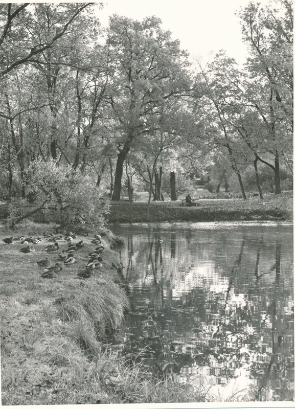 Rakvere, Rahvapark